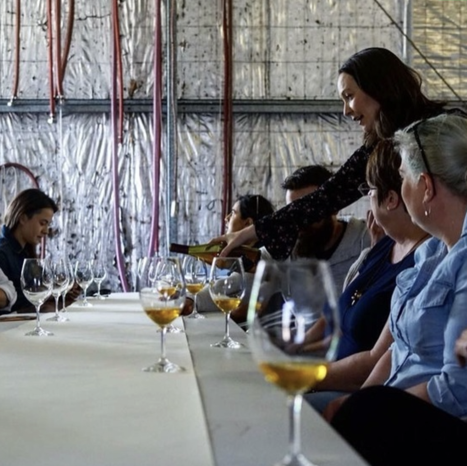 Guided Tours Vintners Daugther