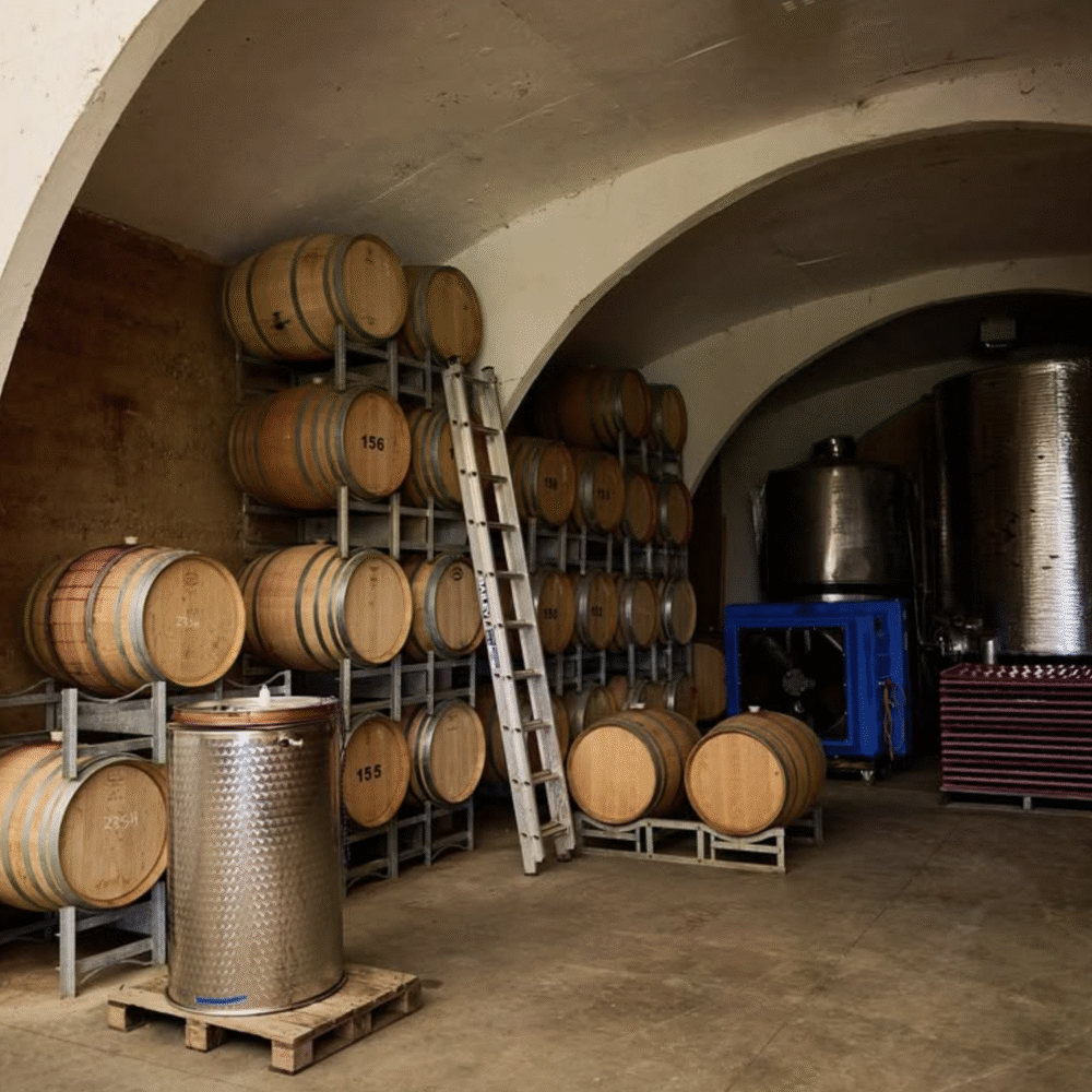 Guided Tours Yarrh Wines e1755758740890