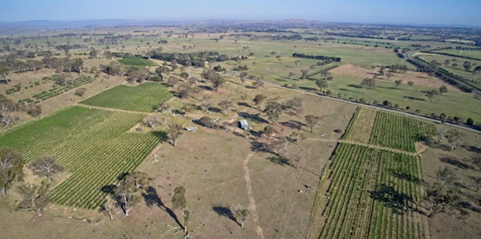barton estate winery