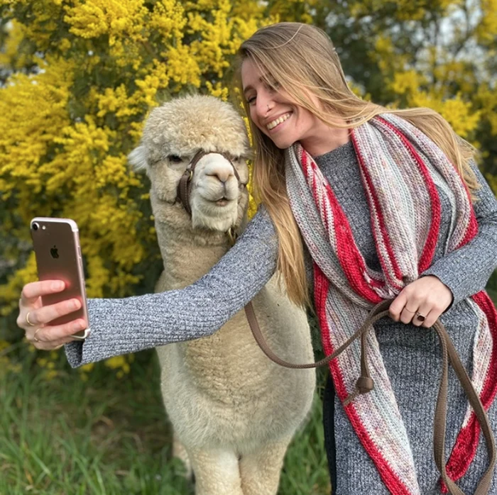 blackwattle alpacas farm tour