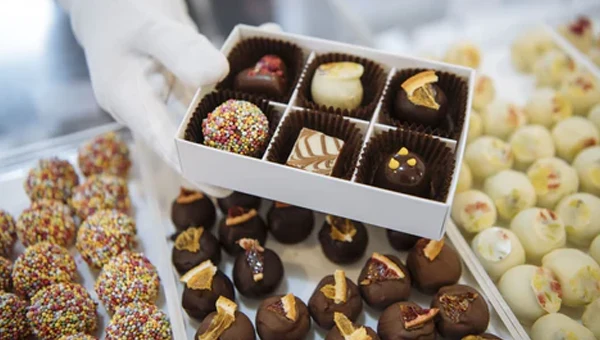 chocolate company