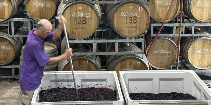 dionysus winery