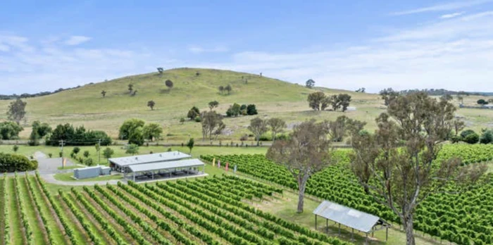 four winds vineyard murrumbateman