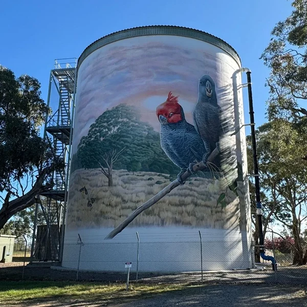 murrumbateman silo art