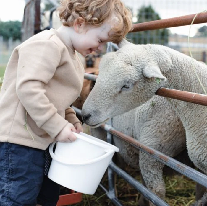 the vintners daughter farm tour