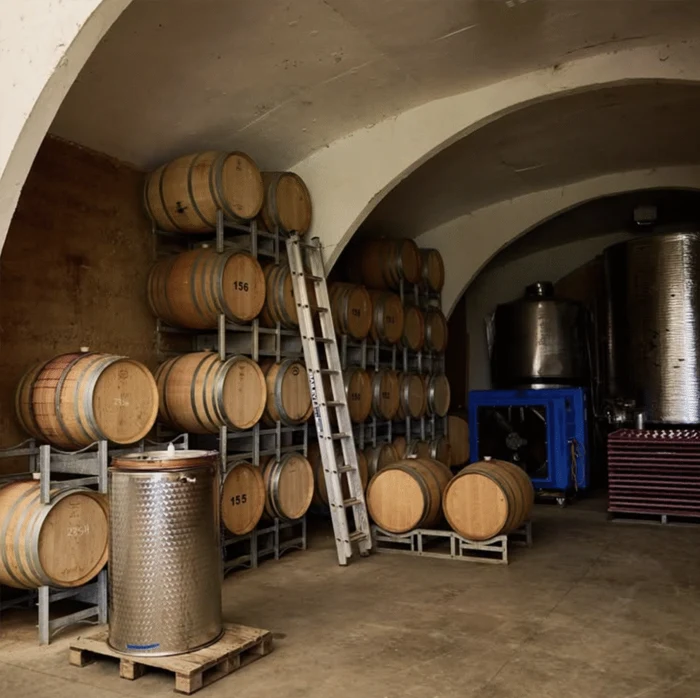 yarrah wines guided tours